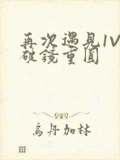 再次遇见1V1破镜重圆