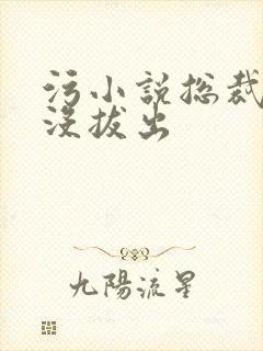 污小说总裁整夜没拔出