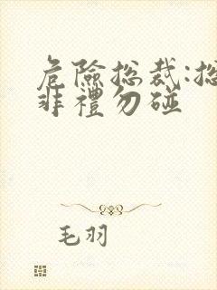 危险总裁:总裁非礼勿碰