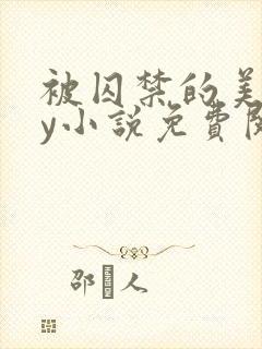 被囚禁的美人by小说免费阅读