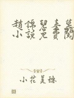 赵锦儿秦慕修的小说免费阅读全文