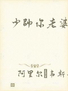 少帅你老婆