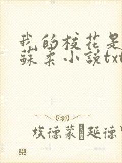 我的校花是福姬苏柔小说txt