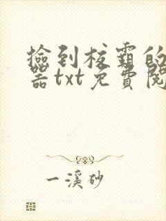 捡到校霸的遥控器txt免费阅读