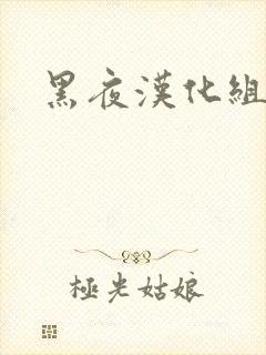 黑夜汉化组