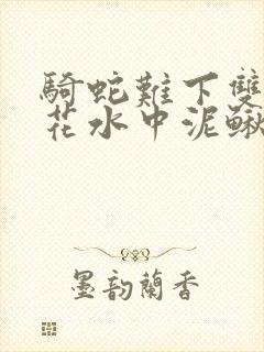 骑蛇难下双金银花水中泥鳅双男主