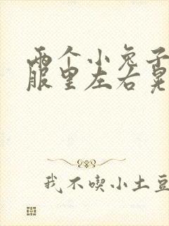 两个小兔子在衣服里左右晃