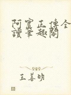 阿宾正传全文阅读笔趣阁