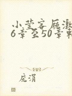 小莹客厅激情46章至50章软件介绍