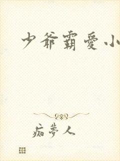 少爷霸爱小丫头