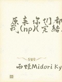 原来你们都想上我(np)(完结)