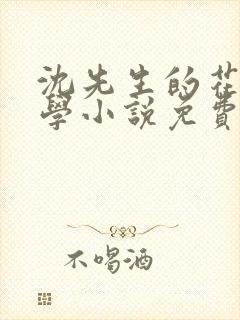 沈先生的花式教学小说免费