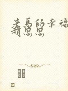 老马的幸福生活赵思思