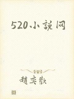 520小说网