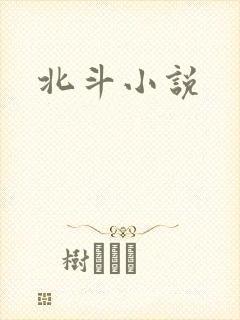 北斗小说