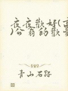 夜夜欢好(高h)公翁的欢爱