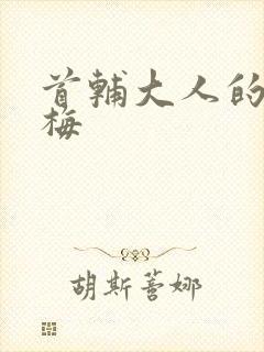 首辅大人的小青梅