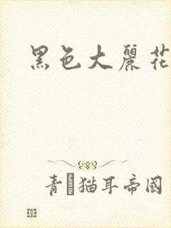 黑色大丽花图片