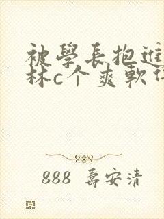 被学长抱进小树林c个爽软件