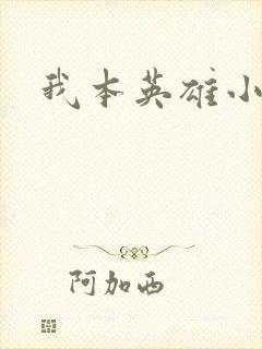我本英雄小说