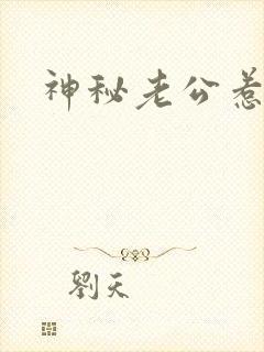 神秘老公惹不起