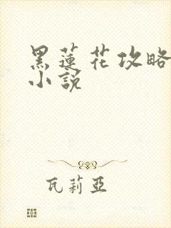 黑莲花攻略手册小说