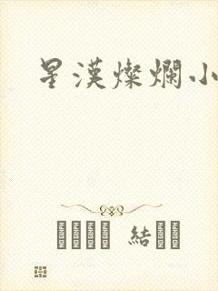 星汉灿烂小说