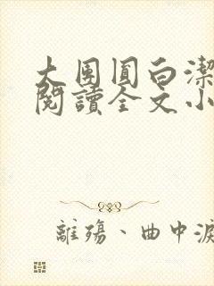 大团圆白洁免费阅读全文小说