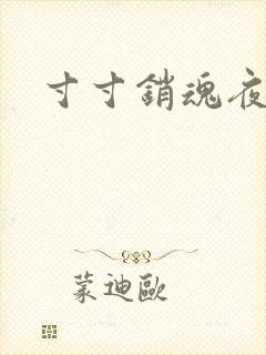 寸寸销魂夜春光