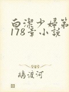 白洁少妇第1一178章小说