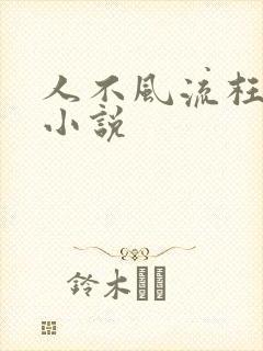 人不风流枉少年小说