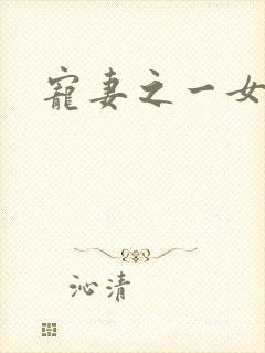 宠妻之一女二夫