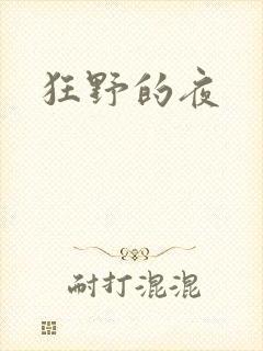 狂野的夜