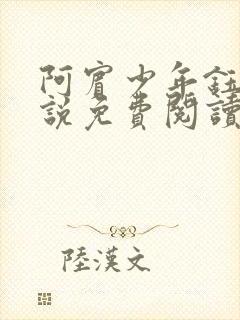 阿宾少年钰慧小说免费阅读笔趣阁