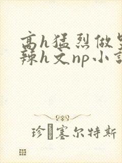 高h猛烈做哭高辣h文np小说