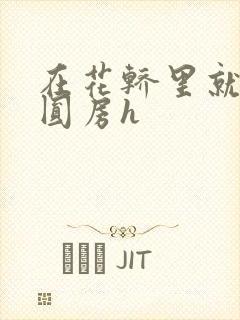 在花轿里就开始圆房h