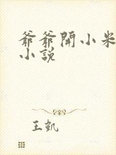 爷爷开小米的包小说