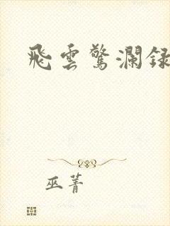 飞云惊澜录