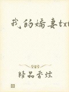我的娇妻txt