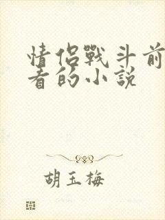 情侣战斗前适合看的小说