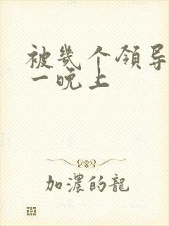 被几个领导玩弄一晚上