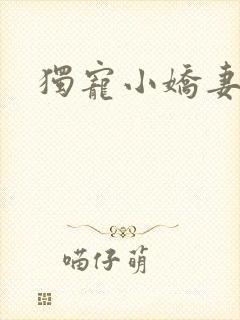 独宠小娇妻