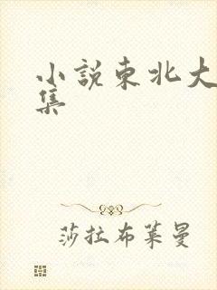 小说东北大炕全集