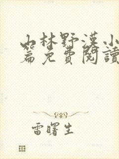 山林野汉小说全篇免费阅读