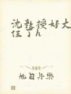 沈教授好大含不住了h