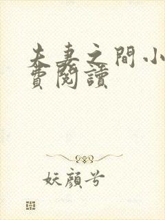 夫妻之间小说免费阅读