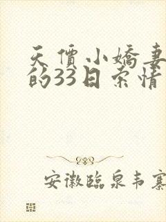 天价小娇妻总裁的33日索情