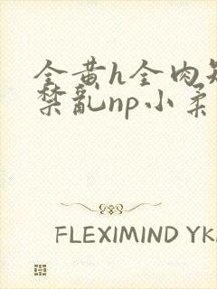 全黄h全肉短篇禁乱np小柔