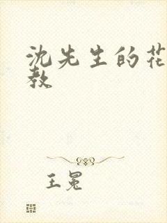 沈先生的花式管教