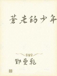苍老的少年